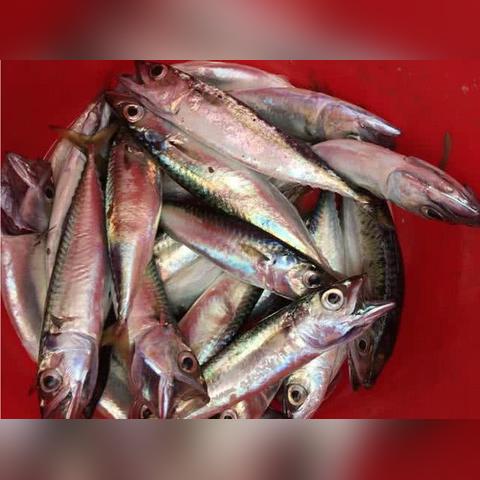 大连典爱情趣的长尾关键词有什么