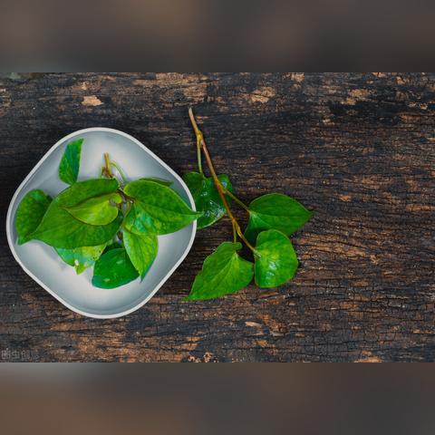 沈阳市口腔白雪怎么样