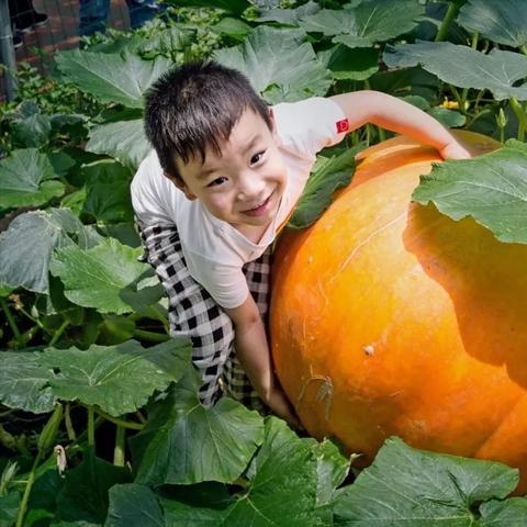 潍坊市哪里好玩免费景点