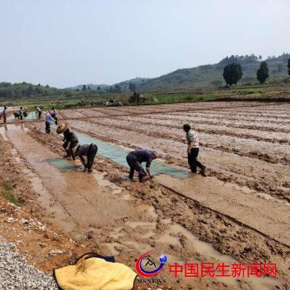 湖南宁远育苗中学的相关长尾关键词有哪些