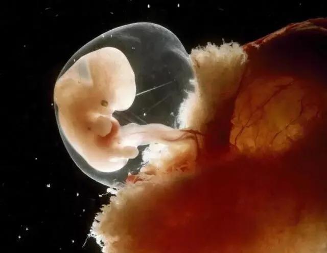 怀孕性行为会伤害胎儿