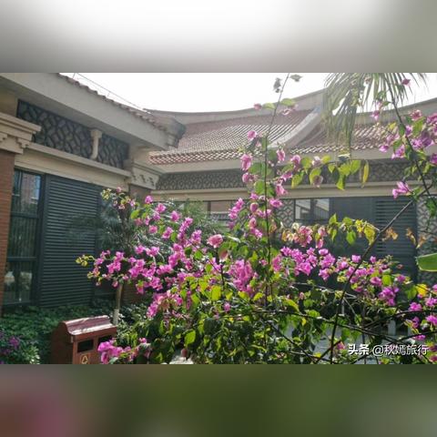 厦门一月旅行穿搭的相关长尾关键词有哪些