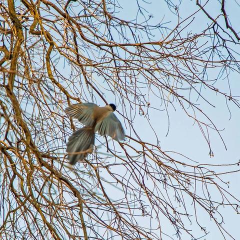 合肥市科学岛是什么社区