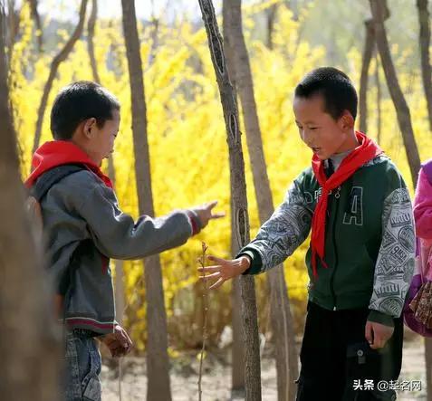 牛宝宝怎么起名啊好听男孩(WOW牛头人)
