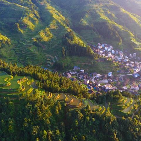 现代广西壮乡有哪些著名人？