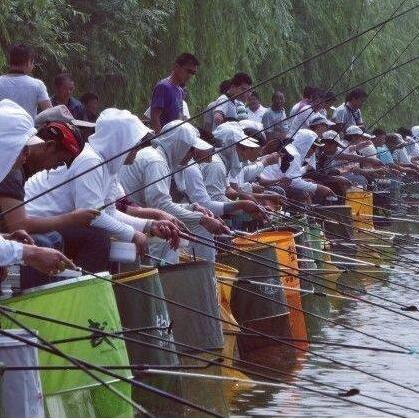 浙江省温州市快鱼店地址的长尾关键词有哪些