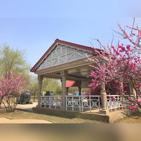 哈尔滨市新区公园有哪些