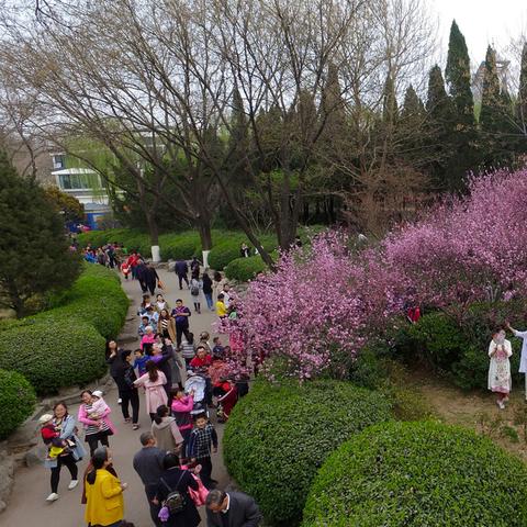 济南市最近的公园是哪个