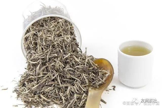 白茶主要的功效有哪些喝安吉白茶的好处和坏处