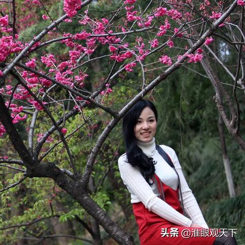 江苏无锡市飞昆明的长尾关键词有哪些