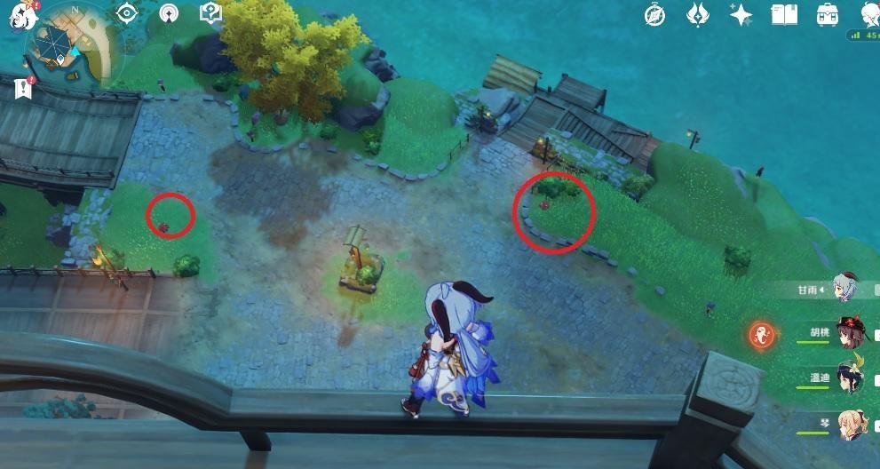 原神室外动物怎么收回（原神套装怎么摆角色进去）