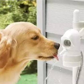 夏天中暑了怎么降温