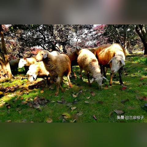 兰州到什川路修好了吗的相关长尾关键词有哪些