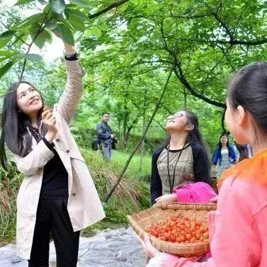 西安钟楼附近美食两人相关长尾关键词有哪些
