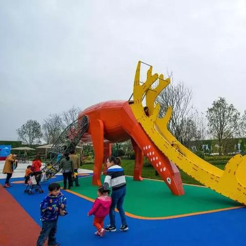 合肥市防疫篮球场有哪些