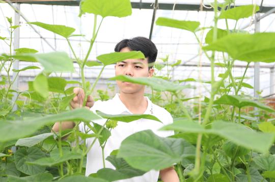沈钻专：返乡创业种灵芝绽放增收“致富花”