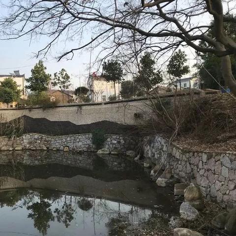 武汉市黄陂区哪个镇最大