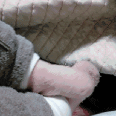 舔宝宝的jio甜咪咪的表情包