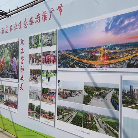 广州市南沙区什么镇