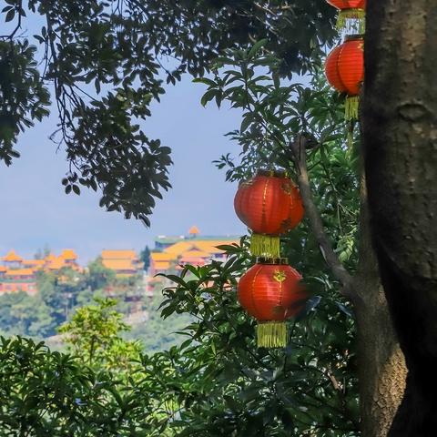 东莞市哪些地方有庙会