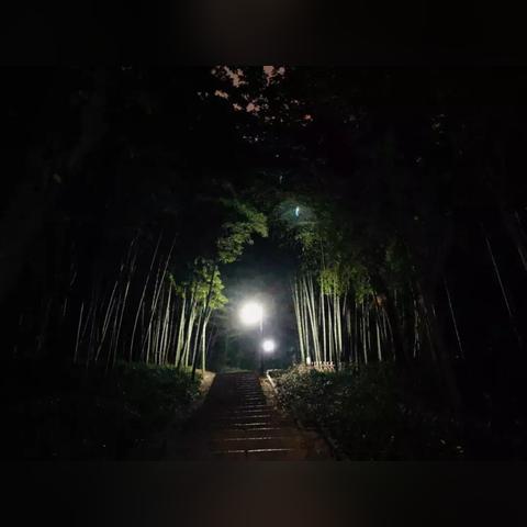 宝石山要门票吗？