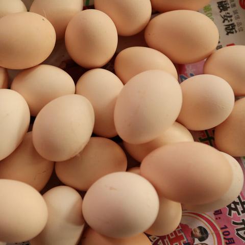 河南小麦和大米的相关长尾关键词有哪些