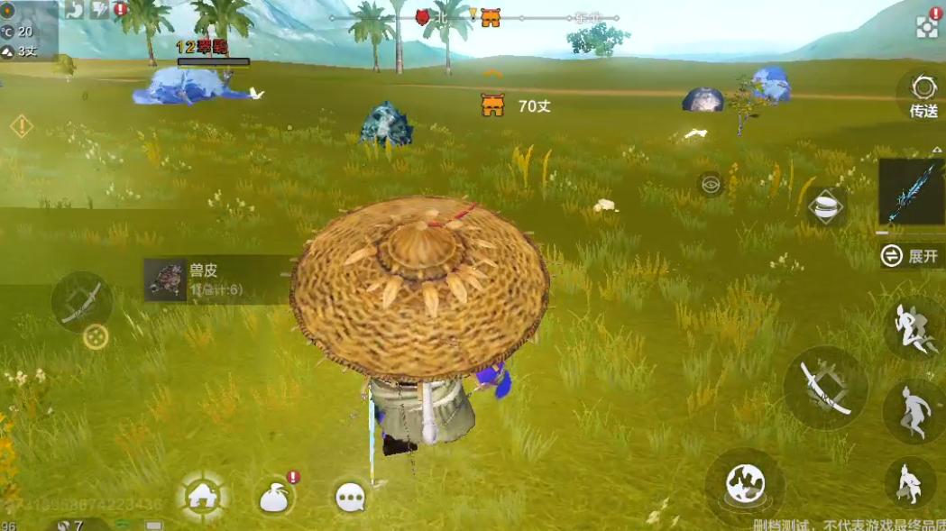 原神飞鸟纹章怎么过（原神公子需要多少徽章）