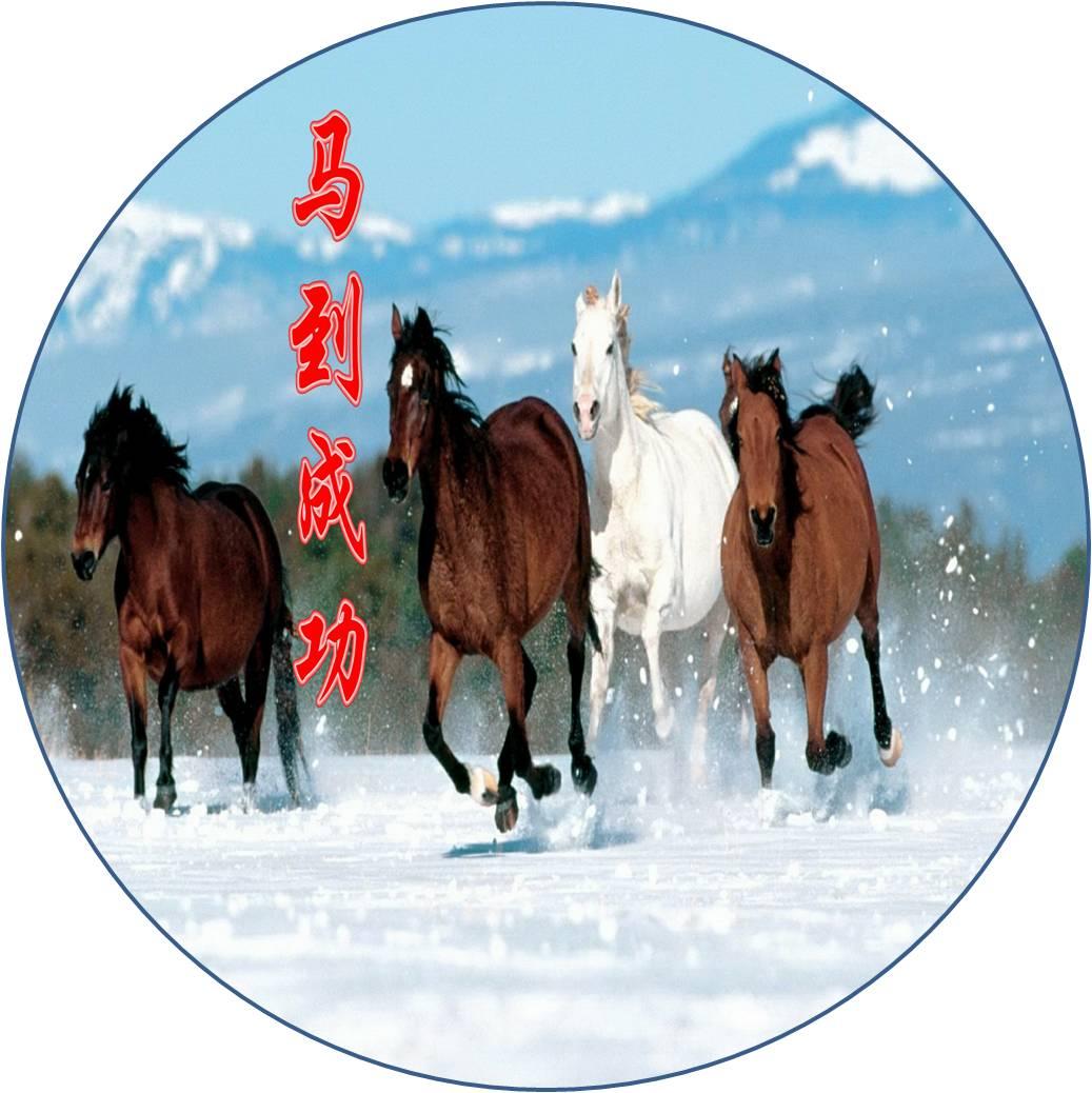 鼠宝宝姓马怎么起名（子丑寅卯什么马）
