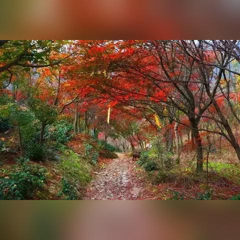 山东省潍坊市新昌县天气的长尾关键词有什么