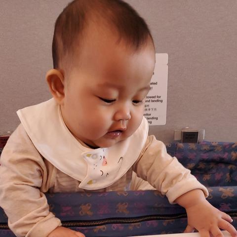 成都市兽医站在哪里啊