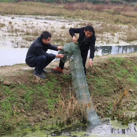 苏州市园区上学需要什么
