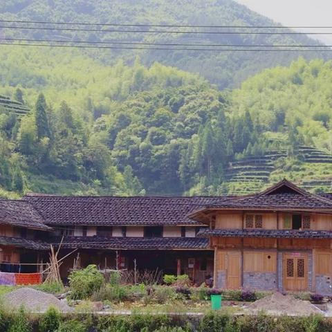 福建宁德白茶哪里最好？