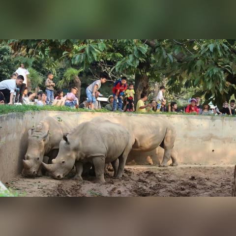 西安以纯招聘的相关长尾关键词有哪些