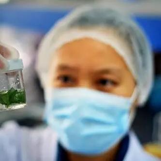 桂林市物流到哪里去拿货