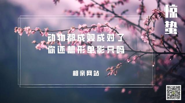 2019惊蛰文案海报合集