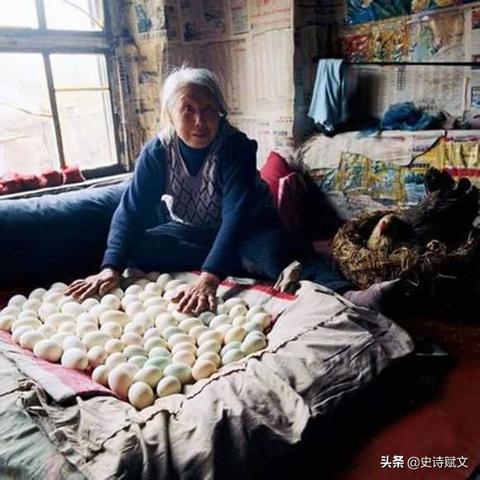 人工智能软件豆包是什么功能