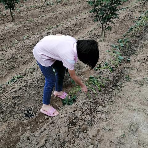 南宁市明秀小学怎么样？