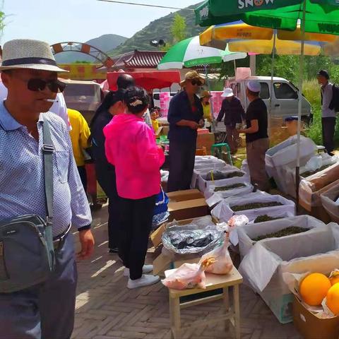 兰州市阿干镇在哪里