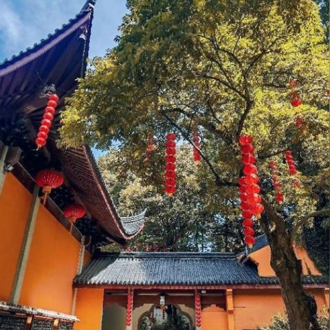 杭州西湖特产豆干的相关长尾关键词有哪些