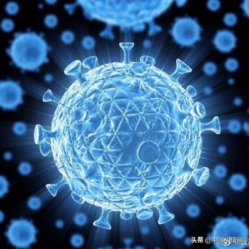 吉林新增4例本土确诊病例
 ,吉林新增4例本土确诊病例详情