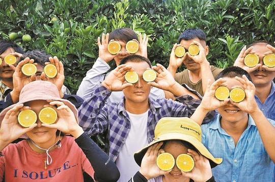 my果园抢先体验！拼多多“多多果园”游戏化农产品全新消费体验