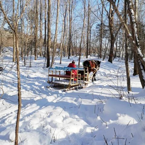 哈尔滨雪地情侣拍照地点相关长尾关键词有哪些