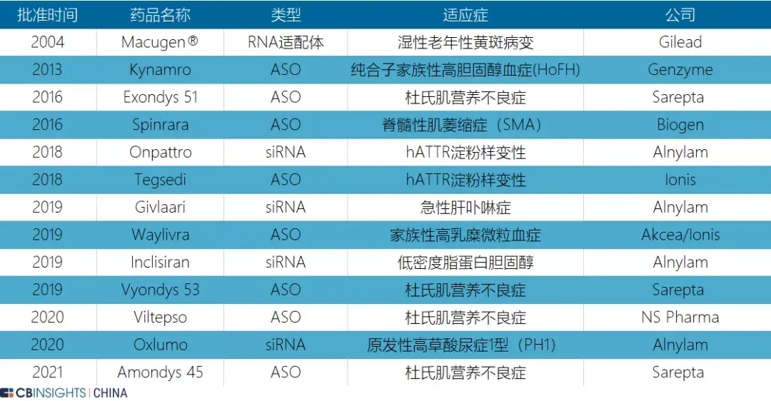 chatgpt如何应用于安全领域(chatgpt如何应用于科研领域)