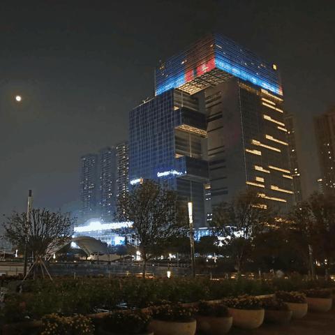 佛山市有哪些大城中村