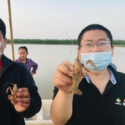 苏宁哈尔滨店相关长尾关键词有哪些