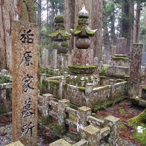 【天津离津人员】长尾关键词有什么