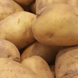 新疆奇台县气候气温的长尾关键词有什么