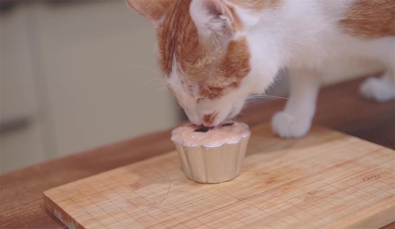 猫咪奶油怎么做(意大利面的做法)