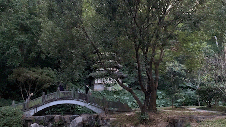 深圳摄影师私藏的6个古风拍照地，免费，超仙