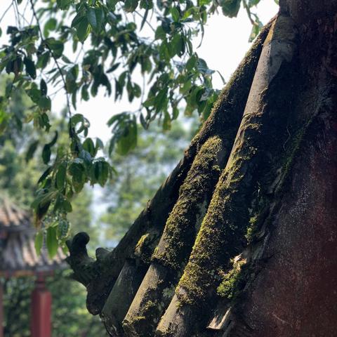 姻缘何时来？八字为你指点迷津